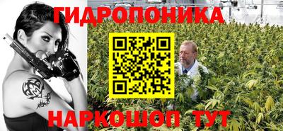 прущие крисы Краснознаменск