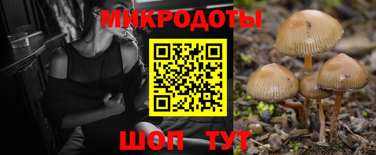 Псилоцибиновые грибы Cubensis  Вход с VPN  Ирбит 
